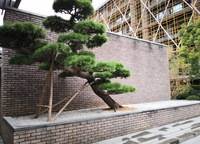 永威上和院