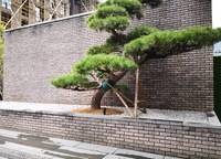 永威上和院