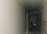 融僑美域