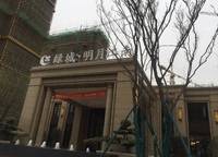 明月江南