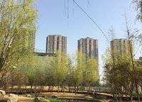 金科城