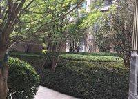 融創(chuàng)城開瓏府