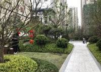 康橋悅?cè)貓@