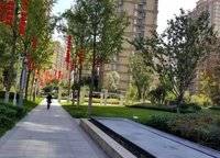 雅居樂國際花園