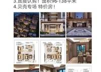 金輝濱河云著