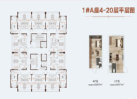鄭報玉蘭先禾