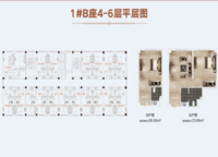 鄭報玉蘭先禾