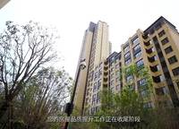 金地鉑悅