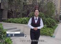 金地鉑悅