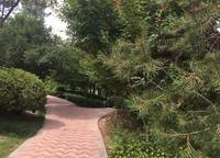 新田城