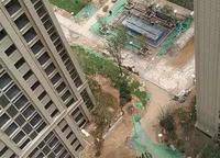 陽(yáng)光城麗景灣