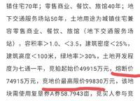 中岳儷景灣