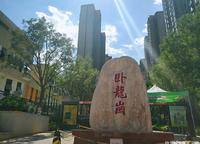 盛世臥龍城