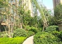 和潤(rùn)林湖美景