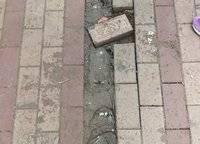 雅居樂御賓府