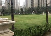 華南城中園