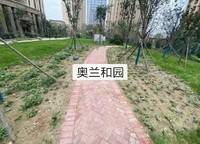 康橋知園