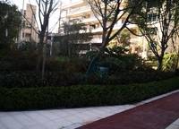 鄭東碧桂園