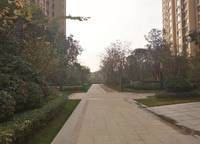 星聯(lián)灣