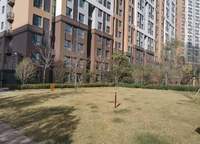 綠地璀璨天城