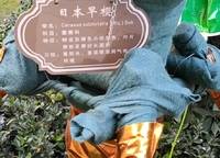 世茂云尚城