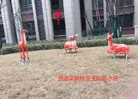 五建新街坊