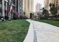 五建新街坊