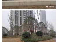 康橋康城