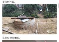 康橋康城