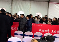 金科城