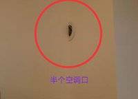 金科天籟城