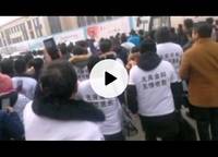 金科城