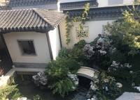 綠城雁鳴湖玫瑰園