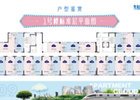 云瓴國際