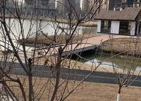 憶江南度假區(qū)