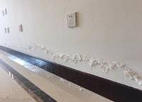 金科城
