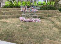 康橋玖璽園