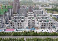 鄭地美景東望（東望云朗）