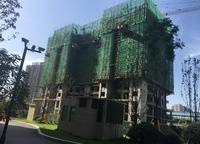 金水世紀(jì)城