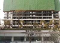 大正水晶森林