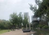 翠園