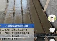 綠城明月濱河