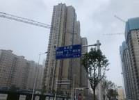 金林雙璽