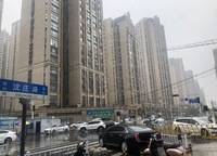 金林雙璽