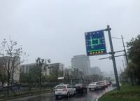 金林雙璽