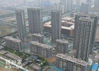 亞新海棠公館