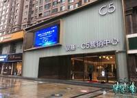 銀基王朝