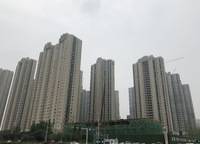 信保春風(fēng)十里