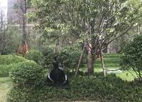 康橋知園