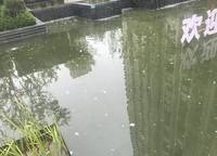 康橋知園